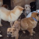 천관농장 이미지