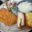 세종 정부청사 점심 맛집 두번째 동카 내돈내산 후기