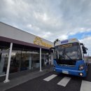 병영원카서비스 | 제주 렌터카 추천 더세이프렌터카 아반떼CN7 대여 내돈내산 후기