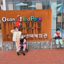 후리닝