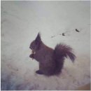 놀러와요 이미지