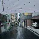 돌보목장 이미지