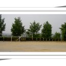 광성초등학교 이미지