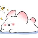 대동황토방(아) 이미지