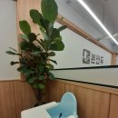 만덕환경 | 부산북구맛집 만덕역 근처 밥집 추천 본만두 사골소고기만두전골 솔직 후기