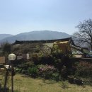 풀꽃민박 이미지