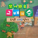 (주)디자인파란 이미지