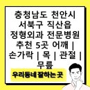 충청남도 천안시 서북구 직산읍 정형외과 전문병원 추천 5곳 어깨 | 손가락 | 목 | 관절 | 무릎