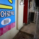 강서구-52 서울신문