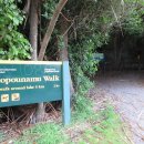 Tongariro National Park 2박3일 세부일정 이미지