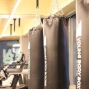 영바디복싱 이미지