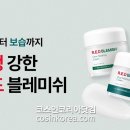 레드기획