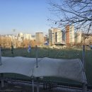 우장산근린공원 축구장 앞 이미지