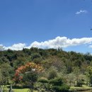 세연목장 이미지