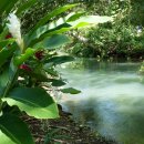 천상의 맛 이미지