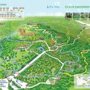 [100대 명품숲⑤] 제주 절물자연휴양림 장생의숲 _ 20240107 이미지