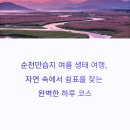순천만쉼표2 | 순천만습지 여름 생태 여행 루트와 힐링 맛집 가이드