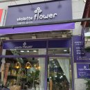 대전둔산꽃집비올레뜨 | 대전 꽃배달 & 꽃다발 대전둔산꽃집 비올레뜨 후기