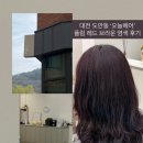 레드헤어 | 대전 도안동 ‘오늘 헤어’ 쿨톤 플럼 레드 브라운 염색 후기(니코 원장님 추천!)