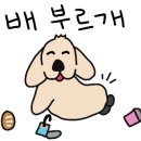 테크노웰 동물병원 이미지