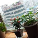 이관희농장 이미지