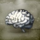 생활속의 체조 [기억력 편] 이미지