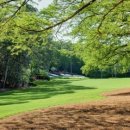 오거스타 이미지