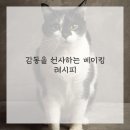 디저트 베이킹 이미지