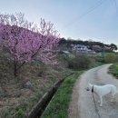 이종문 농장 이미지