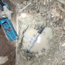 쇄암리 화장실 이미지