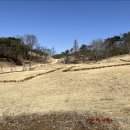 청도어물 이미지