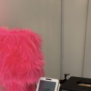 러브시티독 이미지