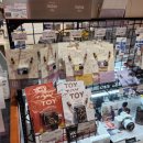 건진2 | 일본 나리타 1터미널 면세점에서 건진 초소형 감성 카메라 ✈️ Kenko Pieni 2 솔직후기