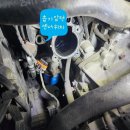 오토오아시스 롯데마트사상점 이미지