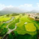 델피노숲 이미지