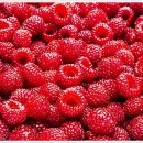 관절 근육 강화 운동 이미지