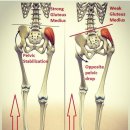 강남와이케이병원 이미지