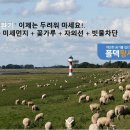 고려 인성 태권도 이미지