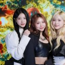 엔젤 스포츠서울