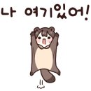 에쓰디