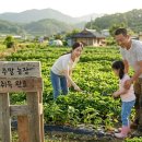 정당농장 이미지