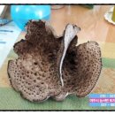 버섯공인중개사사무소 이미지