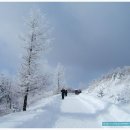 발해목장 이미지