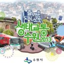 수원-2013 이미지