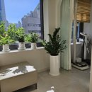 성모라임가정의학과의원 이미지