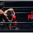 I AM BOXER(아이엠복서) 이미지