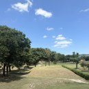 봉황당 - 용산구 청파로 395 | 경주 황리단길 카페 봉황당 뷰가 보이는 가볼만한곳 치즈케이크 후기
