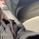 에이스피시방 | 저는 성실한 사람입니다