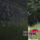 김옥분 티스토리