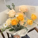 수지플라워 이미지